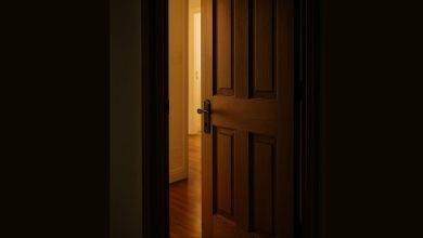 Polizia di Stato arresti a Lecce per maltrattamenti in famiglia