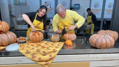 Produzione di zucche in Puglia in aumento del 20% secondo Coldiretti per Halloween 2025