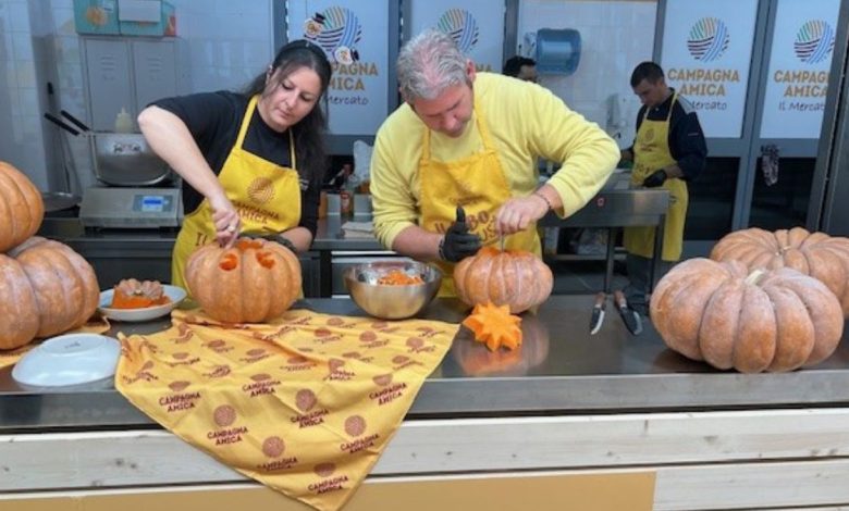 Produzione di zucche in Puglia in aumento del 20% secondo Coldiretti per Halloween 2025