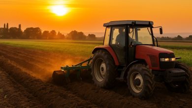 agricoltura in Puglia con imprese agricole in crescita nonostante costi e clima instabile