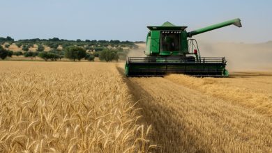 grano Coldiretti Puglia accordi di filiera agricoltori