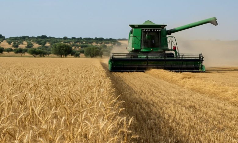 grano Coldiretti Puglia accordi di filiera agricoltori