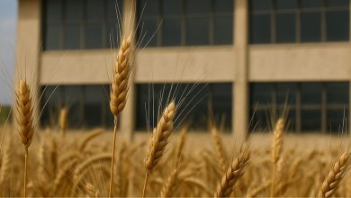 grano Coldiretti Puglia farsa alla Borsa Merci di Foggia