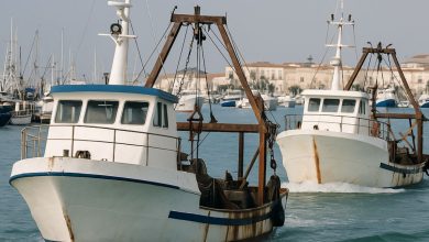 pescherecci a Manfredonia durante sospensione pesca vongole e raccolta cannolicchio