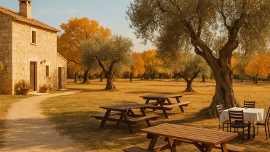 vacanze brevi in agriturismo in Puglia durante Ognissanti con clima mite