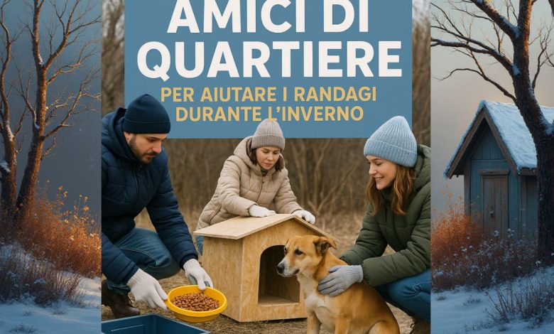 Campagna Amici di quartiere per aiutare i cani randagi durante l’inverno in Puglia