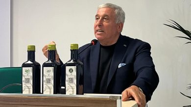 olio extravergine di oliva base piramide alimentare SINU