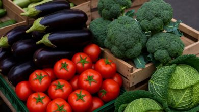 Ortaggi estivi e verdure invernali insieme sui banchi per il caldo anomalo in Puglia