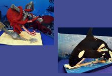 Mostra BrickArt Ocean a Bari con animali marini in mattoncini colorati alla Fiera del Levante