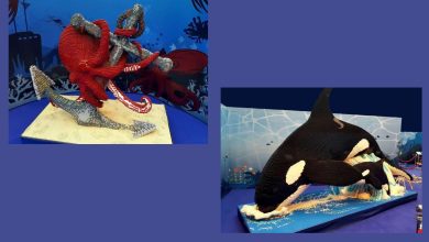 Mostra BrickArt Ocean a Bari con animali marini in mattoncini colorati alla Fiera del Levante
