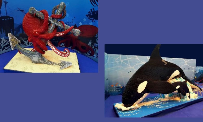 Mostra BrickArt Ocean a Bari con animali marini in mattoncini colorati alla Fiera del Levante
