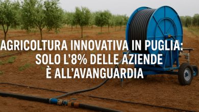 agricoltura innovativa in Puglia con tecnologie sostenibili