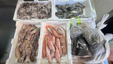 controlli sui prodotti ittici effettuati dalla Guardia Costiera