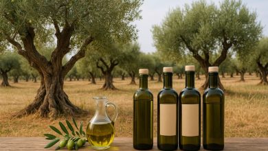 produzione di olio extravergine in Puglia e calo dei prezzi denunciato da Coldiretti