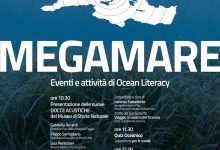 Docce acustiche al museo con esperienza sonora del Mediterraneo