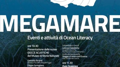 Docce acustiche al museo con esperienza sonora del Mediterraneo