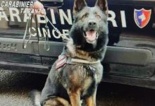 Ginosa, droga tra le lenzuola durante blitz antidroga dei Carabinieri