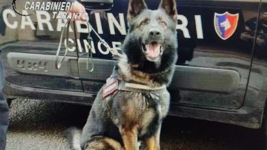 Ginosa, droga tra le lenzuola durante blitz antidroga dei Carabinieri