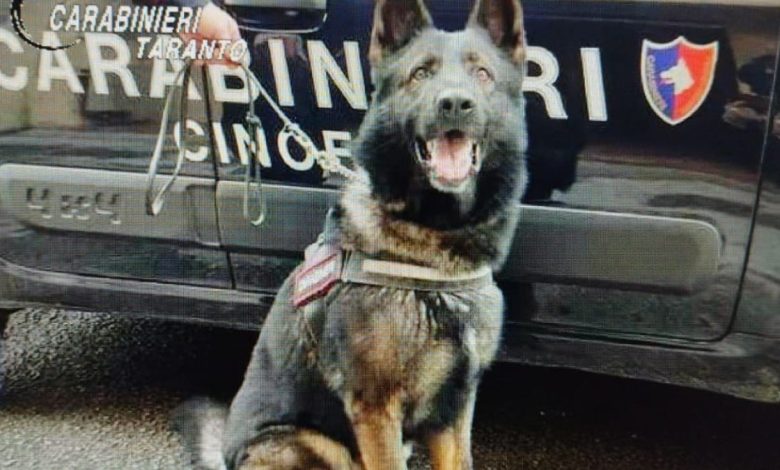 Ginosa, droga tra le lenzuola durante blitz antidroga dei Carabinieri