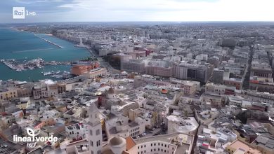 Linea Verde Italia Bari: GreenLife4Seas raccontato nei laboratori del Poliba
