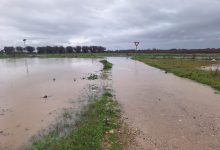 Maltempo in Puglia con campi allagati e alberi sradicati