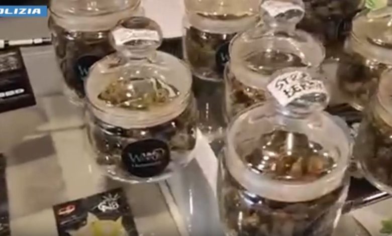 Operazione contro il crimine diffuso a Bari con controlli sul territorio