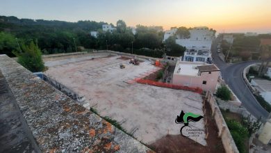 Manifestazione ambientale e controlli dei Carabinieri Forestali a Tricase Porto