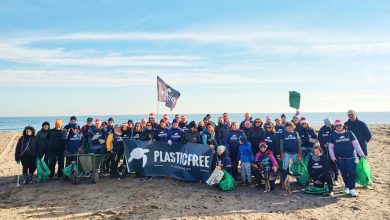 Plastica rimossa in Puglia durante un clean up ambientale nel 2025