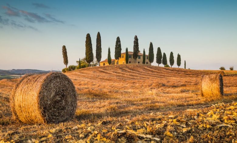 Terreno agricolo in Puglia con campi produttivi e oliveti
