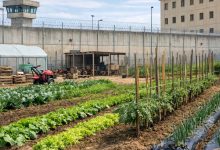 agricoltura come strumento di riscatto nel carcere di Foggia