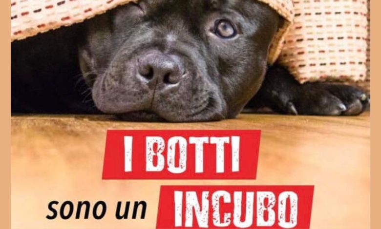manifestazione contro i botti e tutela degli animali