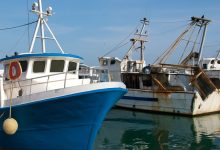 pescherecci pugliesi e settore pesca a rischio