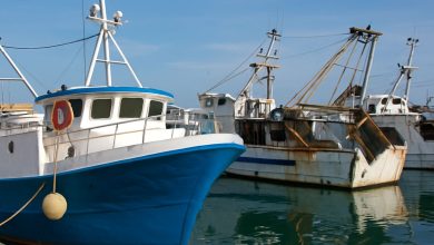 pescherecci pugliesi e settore pesca a rischio