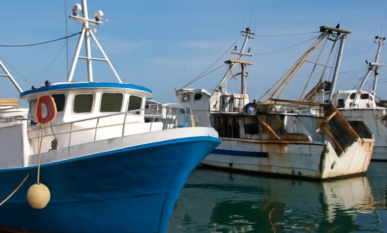 pescherecci pugliesi e settore pesca a rischio