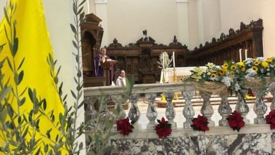 ulivi resistenti alla Xylella piantati nella diocesi di Brindisi