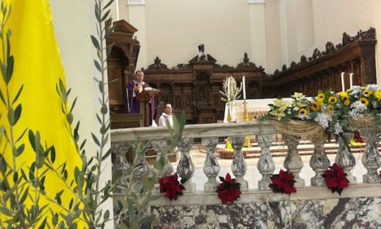 ulivi resistenti alla Xylella piantati nella diocesi di Brindisi