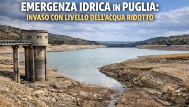>Emergenza idrica in Puglia: livelli ridotti negli invasi e calo delle riserve