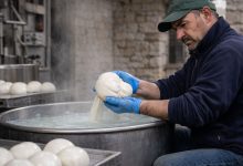 Lavorazione della mozzarella in caseificio pugliese, filiera sotto pressione per il latte a basso costo in Puglia