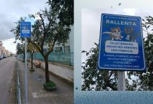 Pali della segnaletica per la tutela dei gatti a Salice Salentino