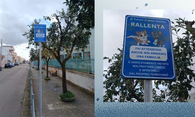 Pali della segnaletica per la tutela dei gatti a Salice Salentino