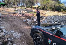 Reati nelle aree a tutela paesaggistica: sequestro cantiere taglio bosco a Ostuni