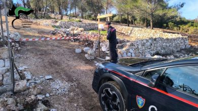 Reati nelle aree a tutela paesaggistica: sequestro cantiere taglio bosco a Ostuni