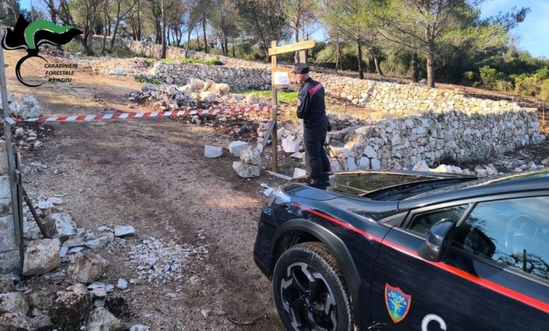 Reati nelle aree a tutela paesaggistica: sequestro cantiere taglio bosco a Ostuni