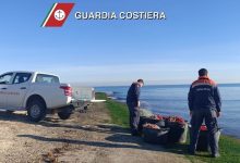 Sequestro reti tramaglio: recupero reti da pesca lungo la costa
