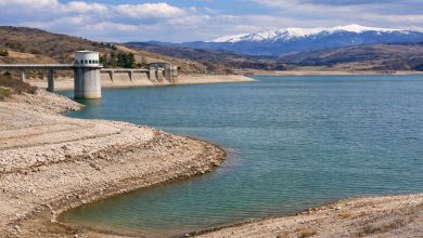 Siccità in Puglia: Coldiretti segnala invasi foggiani a 58 milioni di m³ e chiede interventi. Pioggia e neve decisive per le scorte.