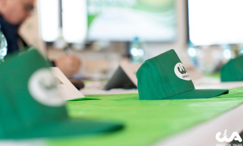 Uliveti e masserie nel Parco delle Dune Costiere tra Torre Canne e Torre San Leonardo