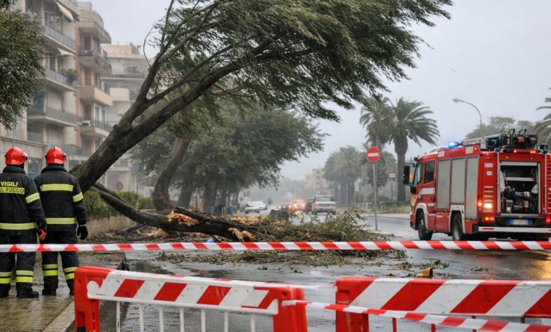 Venti di burrasca in Puglia e intervento per alberi pericolanti in area urbana