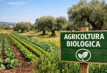 biologico in puglia