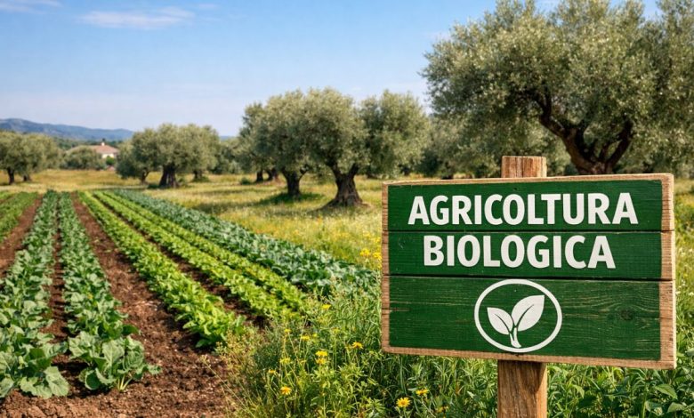 biologico in puglia