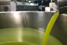 olio tunisino a dazio zero: olive in frantoio e produzione di extravergine